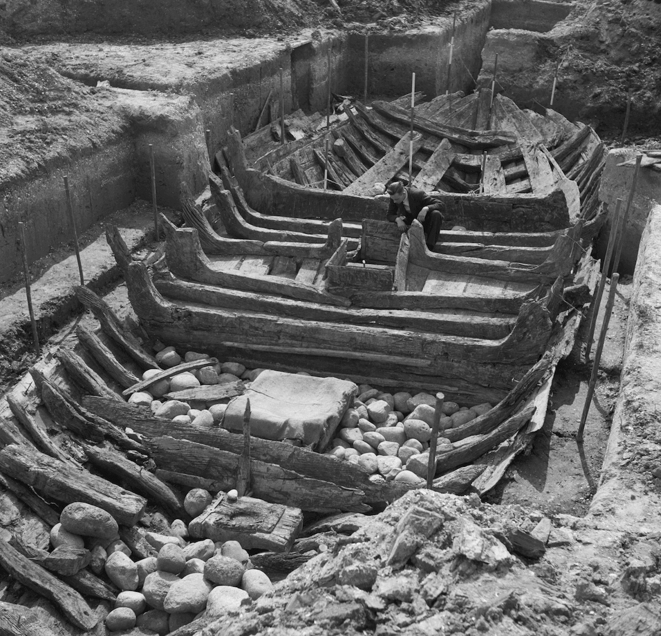 Historische foto (1950) van een archeologische opgraving in de Noordoostpolder waarbij het skelet van een middeleeuws houten schip blootligt.
